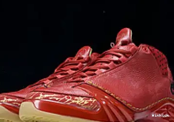 Chicago 23 Jordan 811645-650 0513